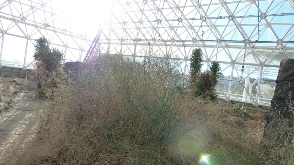 biosphere2 (6)